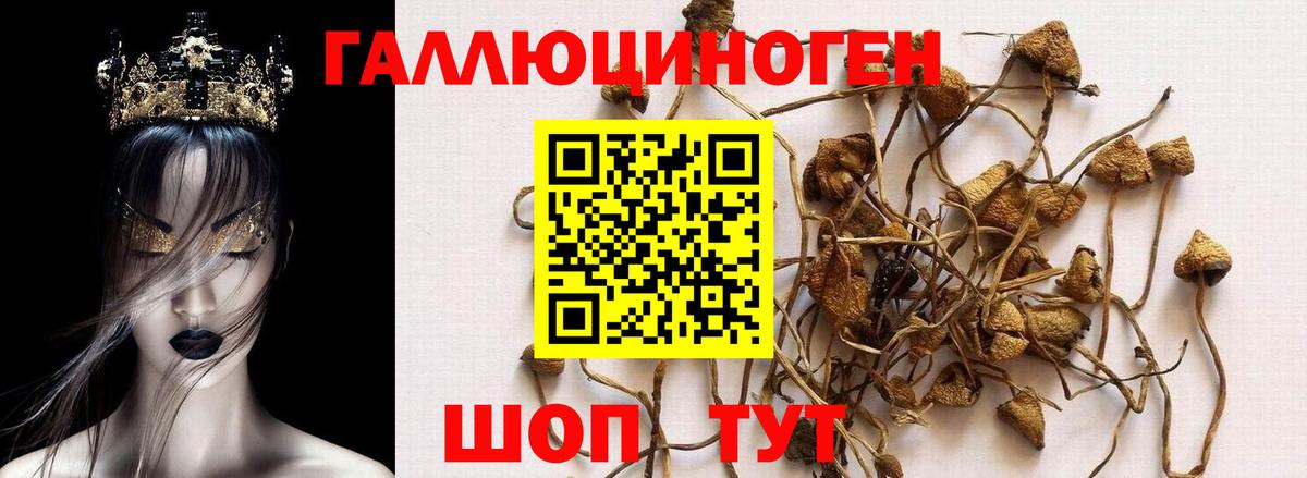 Еманжелинск  Псилоцибиновые грибы MAGIC MUSHROOMS  Вход с VPN  Псилоцибиновые грибы Cubensis 